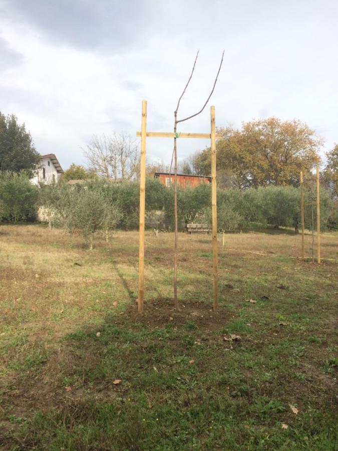 Casa Calicanto Corropoli Luaran gambar